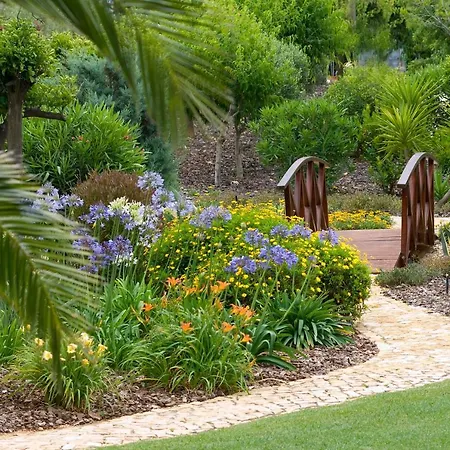 Cristo - Lemon Apartamento *