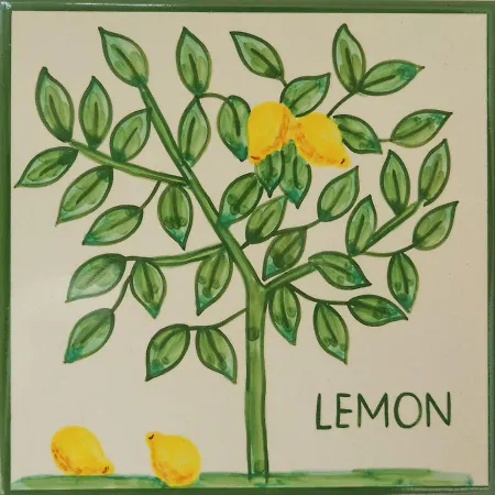 Cristo - Lemon Lejlighed Lagos