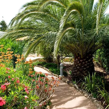 Daire Cristo - Lemon Lagos